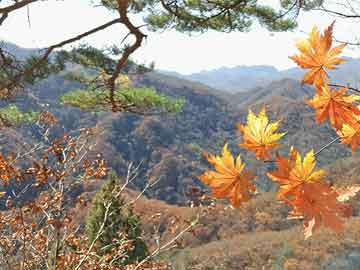 下马龙村委会领导最新概览